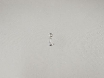 alisha - AYP 645 LETTER